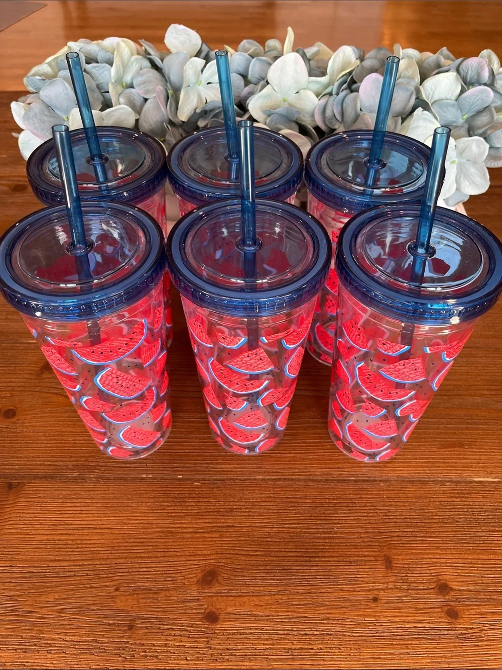 NWT Set of 6 Watermelon Print Tumblers with Blue Lids and Straws